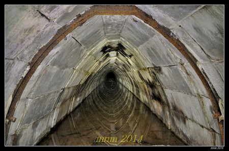 objekt č.1080 Narwal (D)